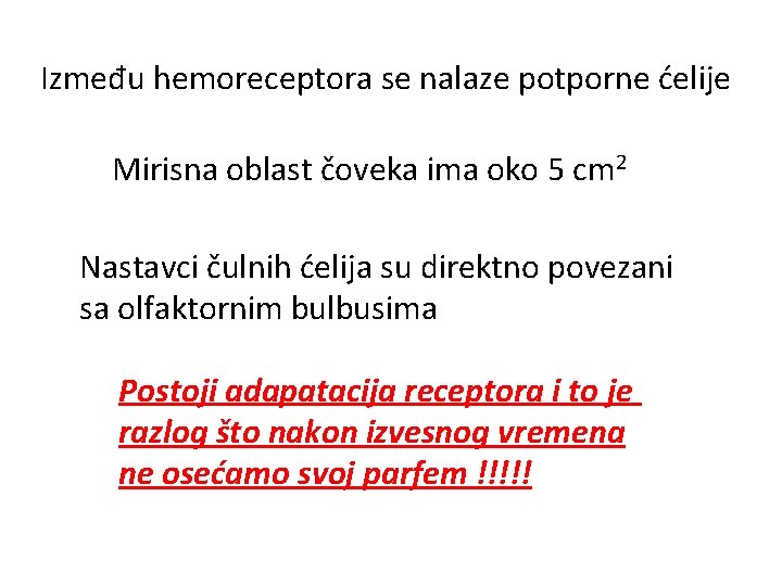 Između hemoreceptora se nalaze potporne ćelije Mirisna oblast čoveka ima oko 5 cm 2 Između hemoreceptora se nalaze potporne ćelije Mirisna oblast čoveka ima oko 5 cm 2