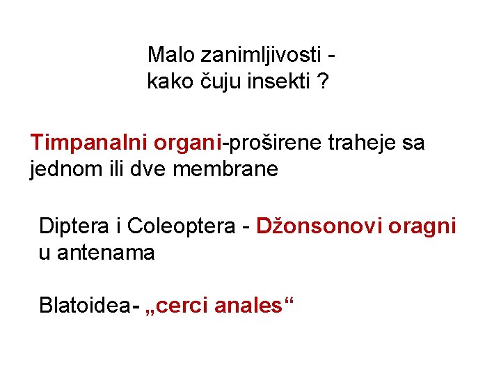 Malo zanimljivosti kako čuju insekti ? Timpanalni organi-proširene traheje sa jednom ili dve membrane Malo zanimljivosti kako čuju insekti ? Timpanalni organi-proširene traheje sa jednom ili dve membrane