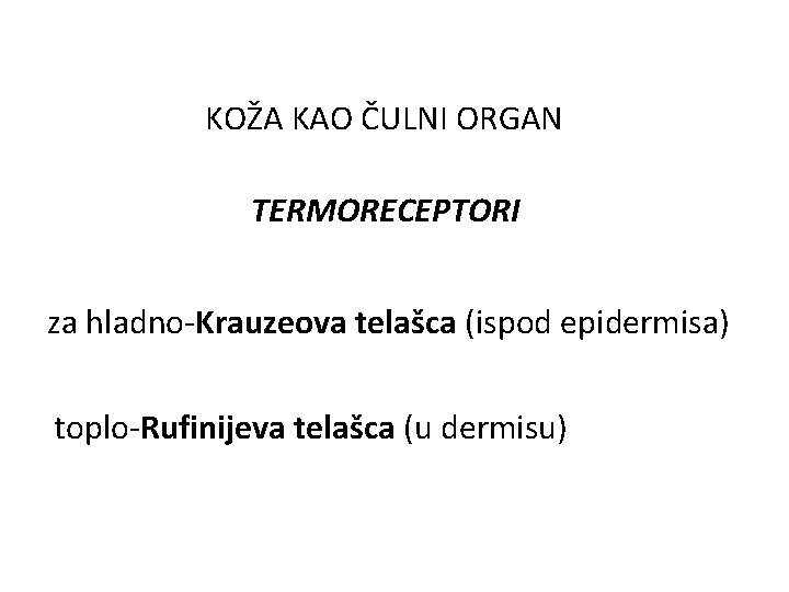 KOŽA KAO ČULNI ORGAN TERMORECEPTORI za hladno-Krauzeova telašca (ispod epidermisa) toplo-Rufinijeva telašca (u dermisu) KOŽA KAO ČULNI ORGAN TERMORECEPTORI za hladno-Krauzeova telašca (ispod epidermisa) toplo-Rufinijeva telašca (u dermisu)