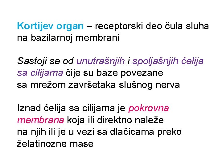 Kortijev organ – receptorski deo čula sluha na bazilarnoj membrani Sastoji se od unutrašnjih Kortijev organ – receptorski deo čula sluha na bazilarnoj membrani Sastoji se od unutrašnjih
