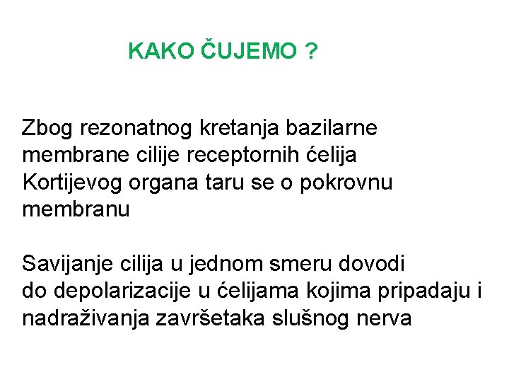 KAKO ČUJEMO ? Zbog rezonatnog kretanja bazilarne membrane cilije receptornih ćelija Kortijevog organa taru KAKO ČUJEMO ? Zbog rezonatnog kretanja bazilarne membrane cilije receptornih ćelija Kortijevog organa taru