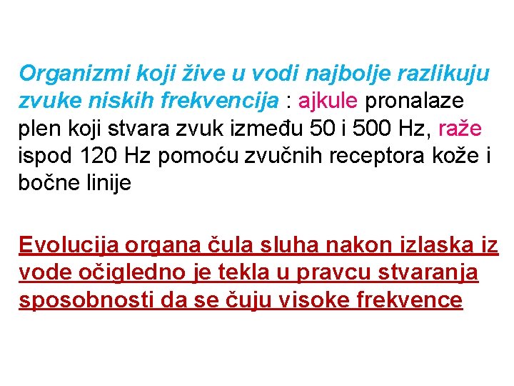 Organizmi koji žive u vodi najbolje razlikuju zvuke niskih frekvencija : ajkule pronalaze plen Organizmi koji žive u vodi najbolje razlikuju zvuke niskih frekvencija : ajkule pronalaze plen