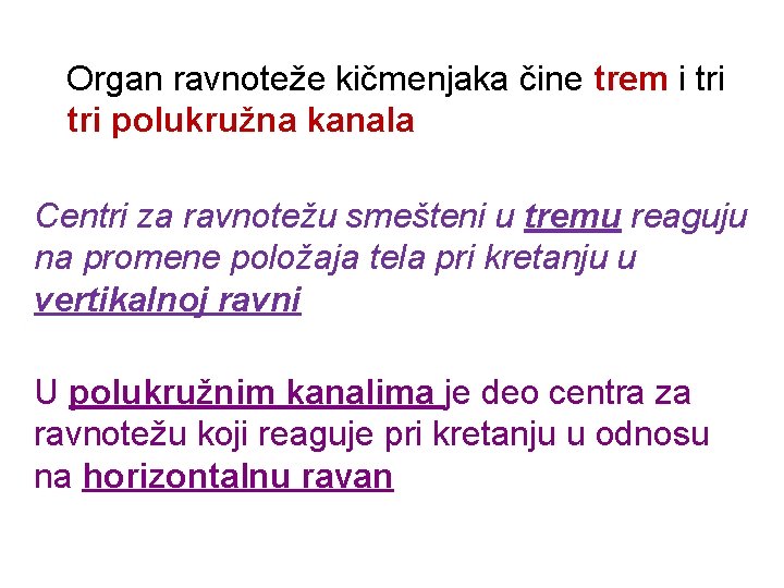 Organ ravnoteže kičmenjaka čine trem i tri polukružna kanala Centri za ravnotežu smešteni u Organ ravnoteže kičmenjaka čine trem i tri polukružna kanala Centri za ravnotežu smešteni u