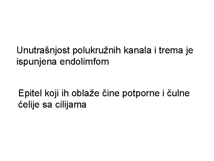 Unutrašnjost polukružnih kanala i trema je ispunjena endolimfom Epitel koji ih oblaže čine potporne Unutrašnjost polukružnih kanala i trema je ispunjena endolimfom Epitel koji ih oblaže čine potporne