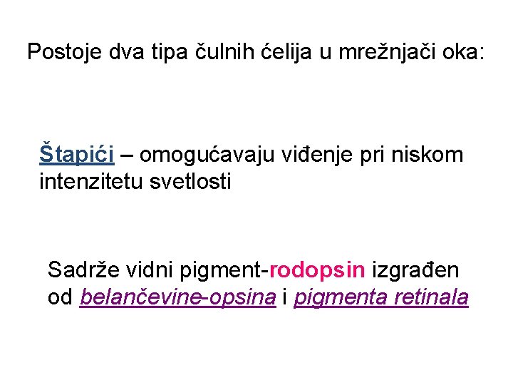 Postoje dva tipa čulnih ćelija u mrežnjači oka: Štapići – omogućavaju viđenje pri niskom Postoje dva tipa čulnih ćelija u mrežnjači oka: Štapići – omogućavaju viđenje pri niskom