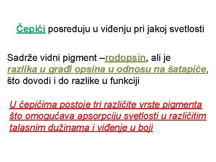 Čepići posreduju u viđenju pri jakoj svetlosti Sadrže vidni pigment –rodopsin, ali je razlika Čepići posreduju u viđenju pri jakoj svetlosti Sadrže vidni pigment –rodopsin, ali je razlika