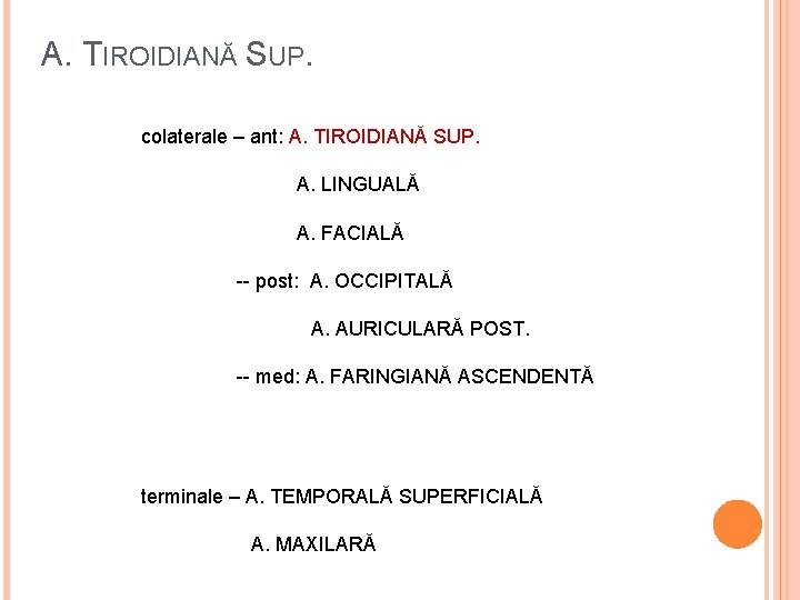 A. TIROIDIANĂ SUP. colaterale – ant: A. TIROIDIANĂ SUP. A. LINGUALĂ A. FACIALĂ --