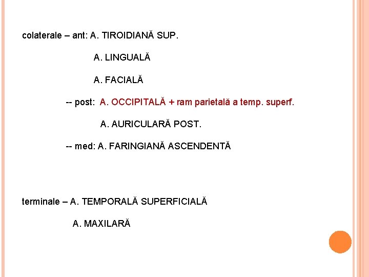 colaterale – ant: A. TIROIDIANĂ SUP. A. LINGUALĂ A. FACIALĂ -- post: A. OCCIPITALĂ