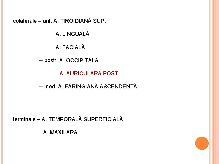colaterale – ant: A. TIROIDIANĂ SUP. A. LINGUALĂ A. FACIALĂ -- post: A. OCCIPITALĂ
