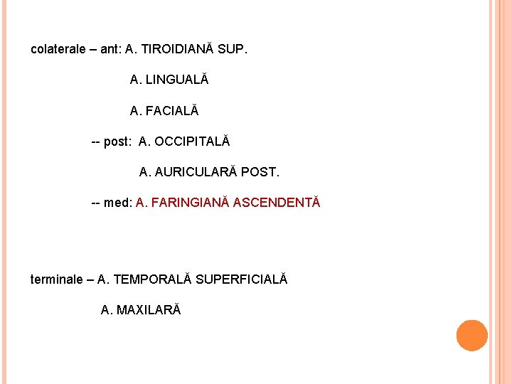 colaterale – ant: A. TIROIDIANĂ SUP. A. LINGUALĂ A. FACIALĂ -- post: A. OCCIPITALĂ