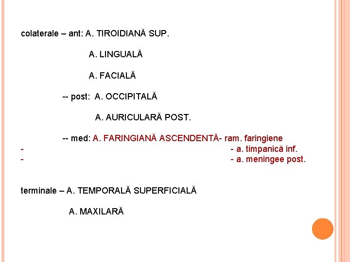 colaterale – ant: A. TIROIDIANĂ SUP. A. LINGUALĂ A. FACIALĂ -- post: A. OCCIPITALĂ