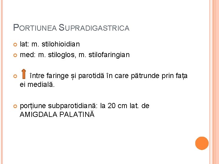 PORTIUNEA SUPRADIGASTRICA lat: m. stilohioidian med: m. stiloglos, m. stilofaringian între faringe și parotidă