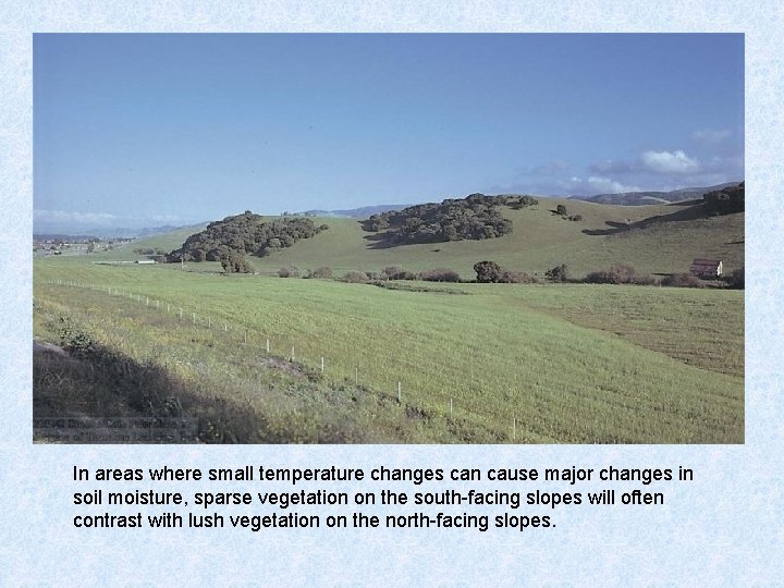 In areas where small temperature changes can cause major changes in soil moisture, sparse
