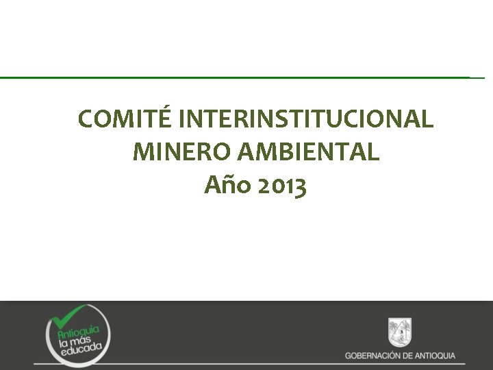 COMITÉ INTERINSTITUCIONAL MINERO AMBIENTAL Año 2013 