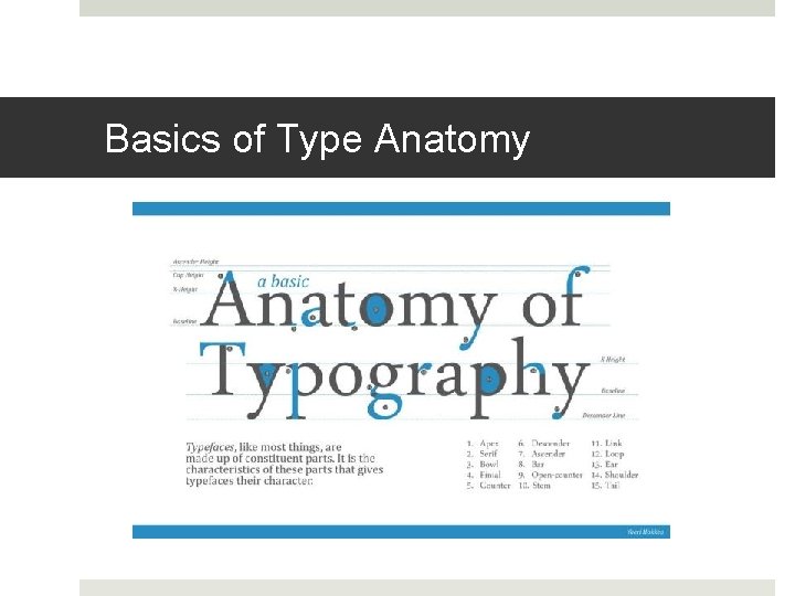 Basics of Type Anatomy 