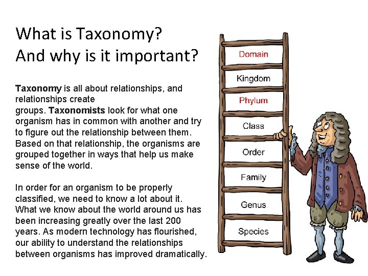 What is Taxonomy? And why is it important? Taxonomy is all about relationships, and