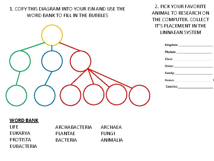 1. COPY THIS DIAGRAM INTO YOUR ISN AND USE THE WORD BANK TO FILL