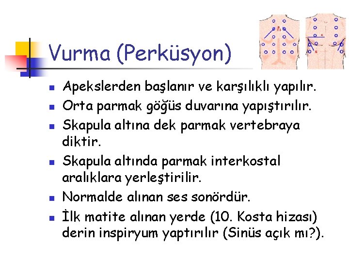 Vurma (Perküsyon) n n n Apekslerden başlanır ve karşılıklı yapılır. Orta parmak göğüs duvarına