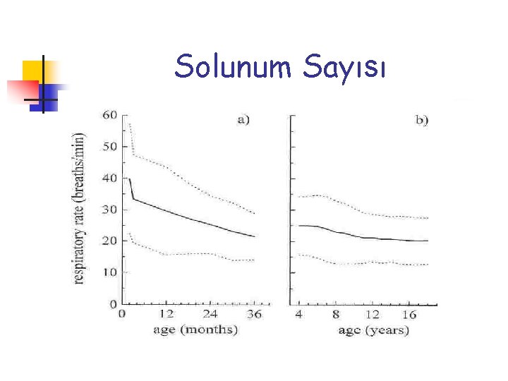 Solunum Sayısı 