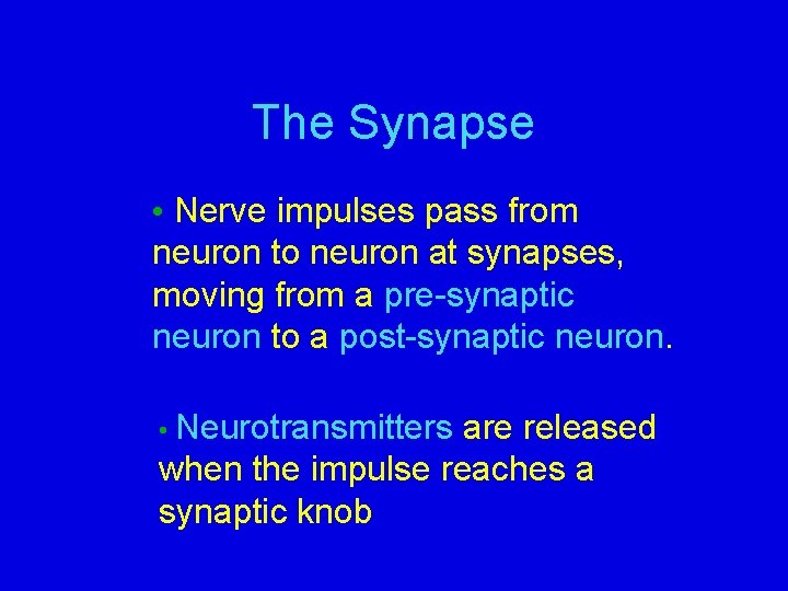 The Synapse • Nerve impulses pass from neuron to neuron at synapses, moving from