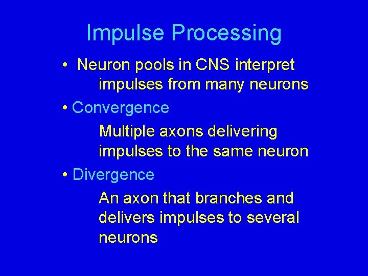 Impulse Processing • Neuron pools in CNS interpret impulses from many neurons • Convergence