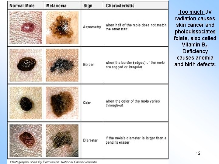 Too much UV radiation causes skin cancer and photodissociates folate, also called Vitamin B