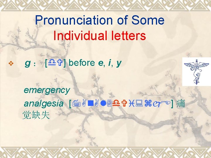 Pronunciation of Some Individual letters v g ： [ ] before e, i, y