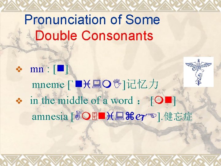 Pronunciation of Some Double Consonants v v mn : [n] mneme [`ni: m. I]记忆力
