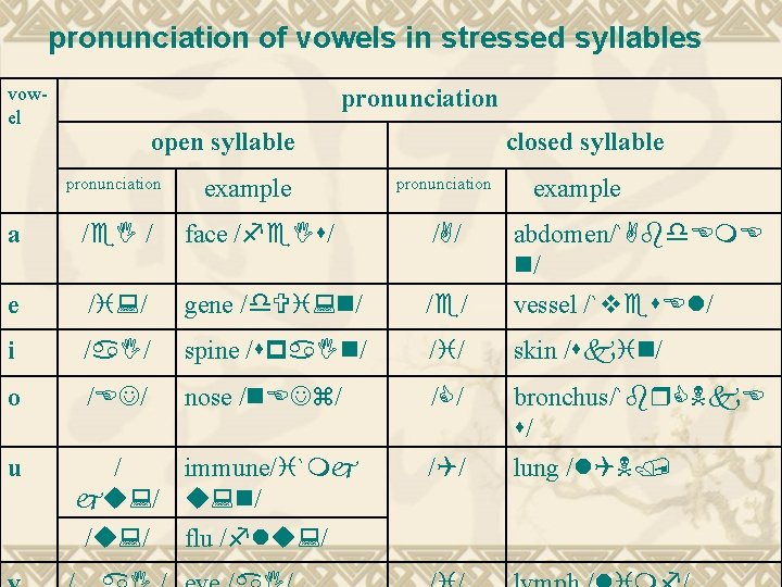 pronunciation of vowels in stressed syllables vowel pronunciation open syllable pronunciation example closed syllable