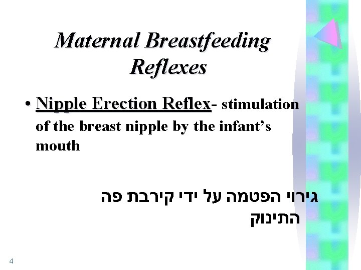 Maternal Breastfeeding Reflexes • Nipple Erection Reflex stimulation of the breast nipple by the