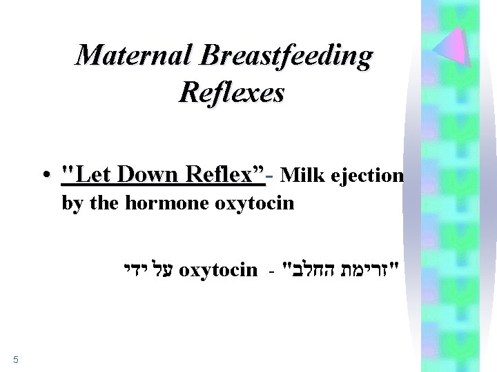 Maternal Breastfeeding Reflexes • "Let Down Reflex” Milk ejection by the hormone oxytocin על