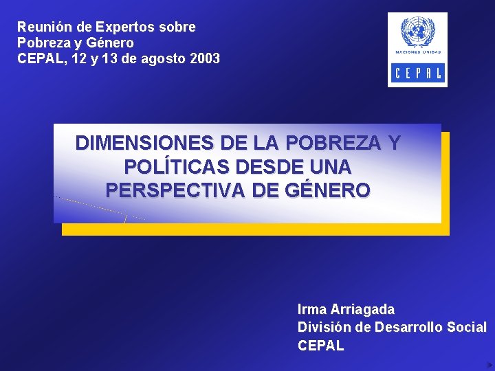 Reunión de Expertos sobre Pobreza y Género CEPAL, 12 y 13 de agosto 2003
