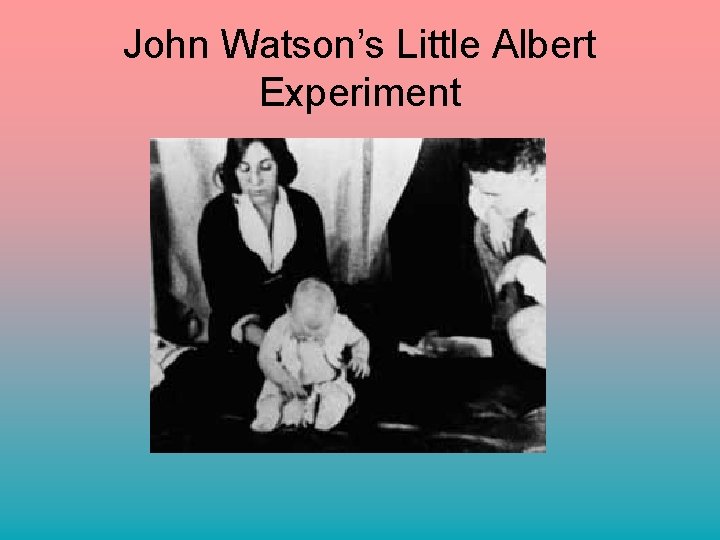 John Watson’s Little Albert Experiment 