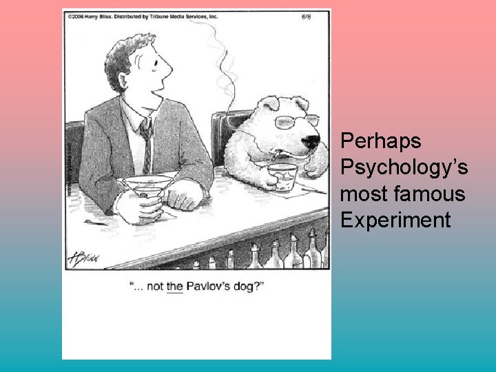 Perhaps Psychology’s most famous Experiment 