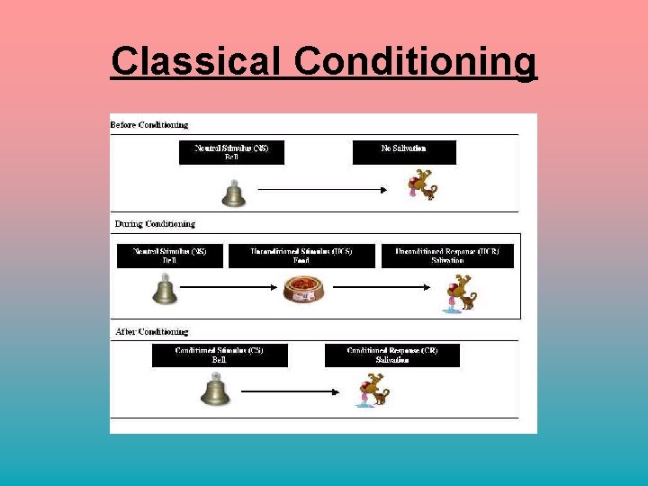 Classical Conditioning 