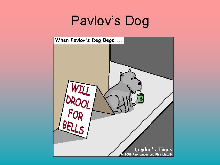 Pavlov’s Dog 