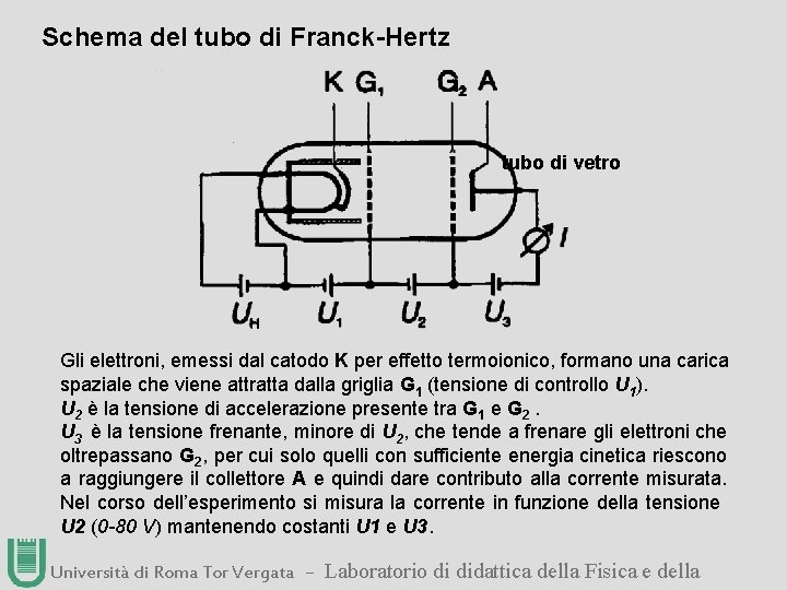 Schema del tubo di Franck-Hertz tubo di vetro Gli elettroni, emessi dal catodo K