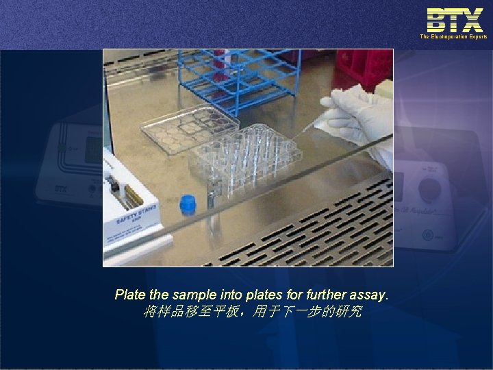 The Electroporation Experts Plate the sample into plates for further assay. 将样品移至平板，用于下一步的研究 