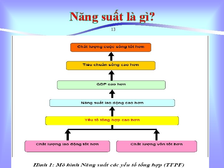 Năng suất là gì? 13 