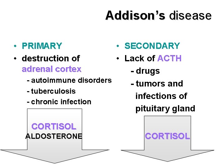 Addison’s disease • PRIMARY • destruction of adrenal cortex • SECONDARY • Lack of