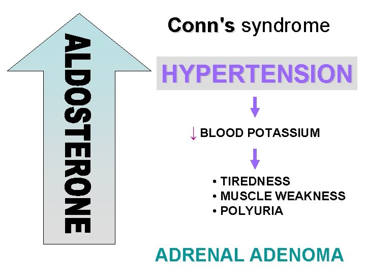 Conn's syndrome HYPERTENSION ↓ BLOOD POTASSIUM • TIREDNESS • MUSCLE WEAKNESS • POLYURIA ADRENAL