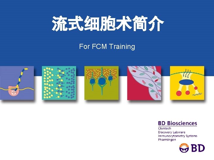 流式细胞术简介 For FCM Training 