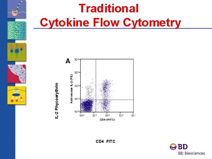 IL-2 Phycoerythrin Traditional Cytokine Flow Cytometry CD 4 FITC 