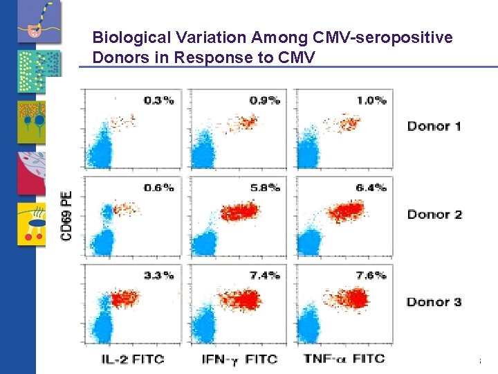 Biological Variation Among CMV-seropositive Donors in Response to CMV 