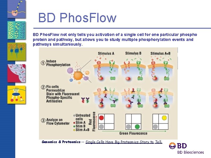 BD Phos. Flow not only tells you activation of a single cell for one