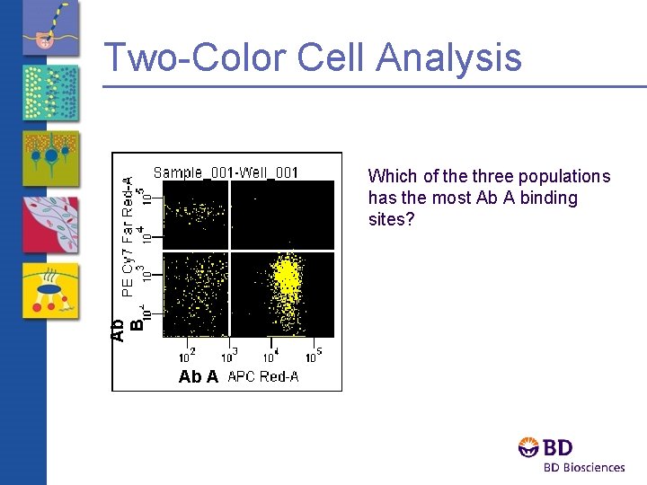 Two-Color Cell Analysis Ab B Which of the three populations has the most Ab