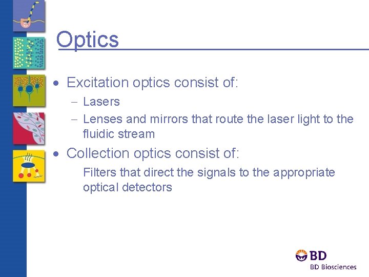 Optics · Excitation optics consist of: - Lasers - Lenses and mirrors that route