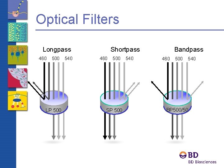 Optical Filters Longpass 460 500 LP 500 540 Shortpass 460 500 SP 500 540
