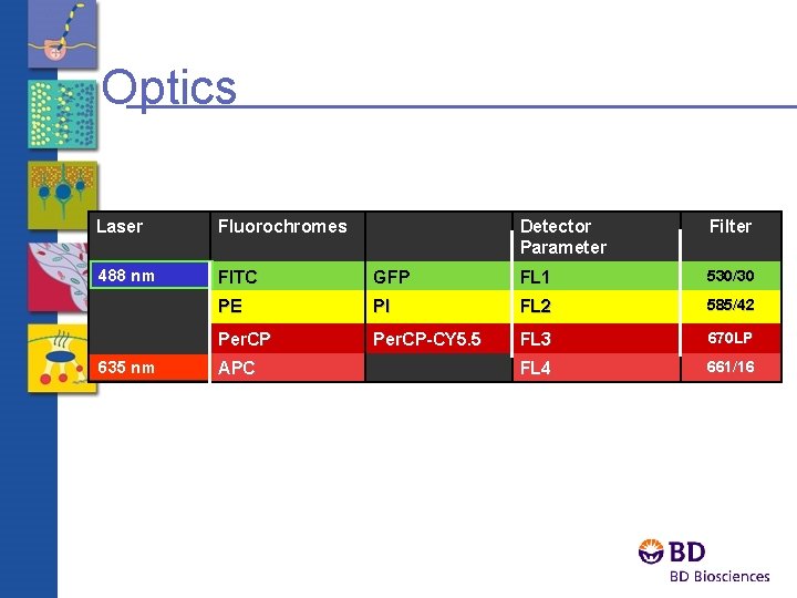 Optics Laser Fluorochromes 488 nm FITC 635 nm Detector Parameter Filter GFP FL 1