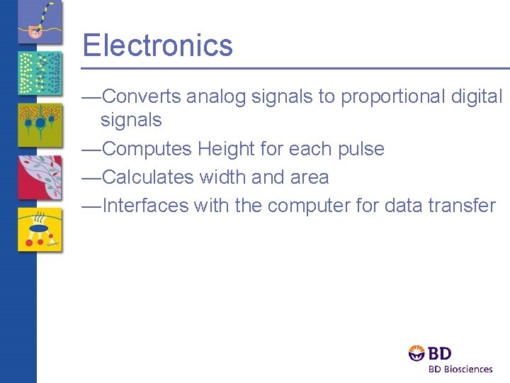 Electronics —Converts analog signals to proportional digital signals —Computes Height for each pulse —Calculates
